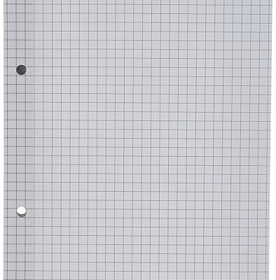 FIS fspacr4002 5mm square classico loose leaf papers